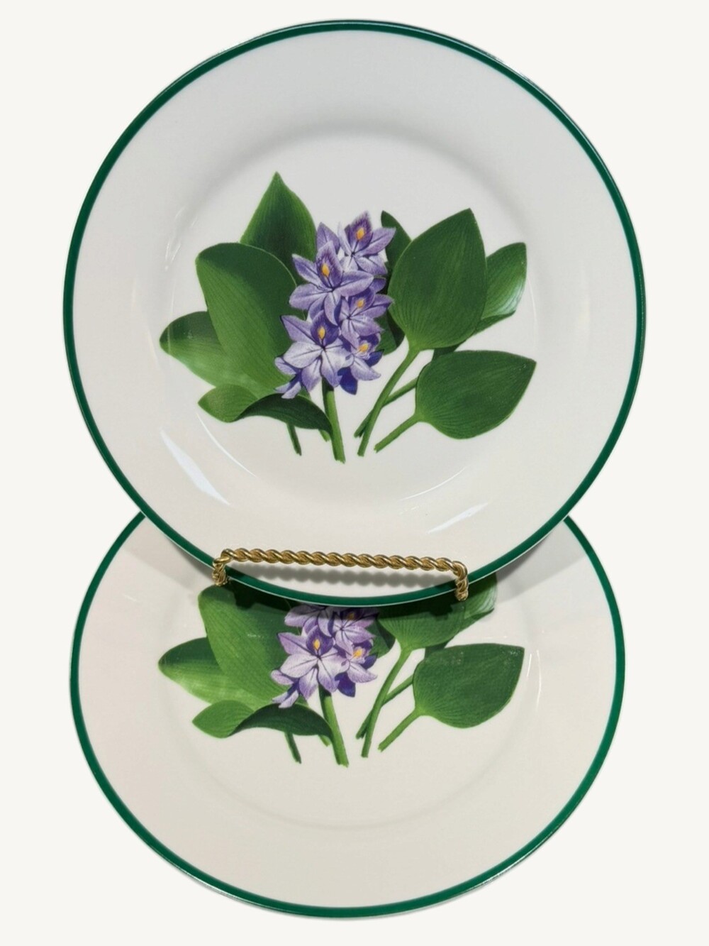 National Wildlife Federation American Wildflowers Plantain Salad Plates 7.75" Se